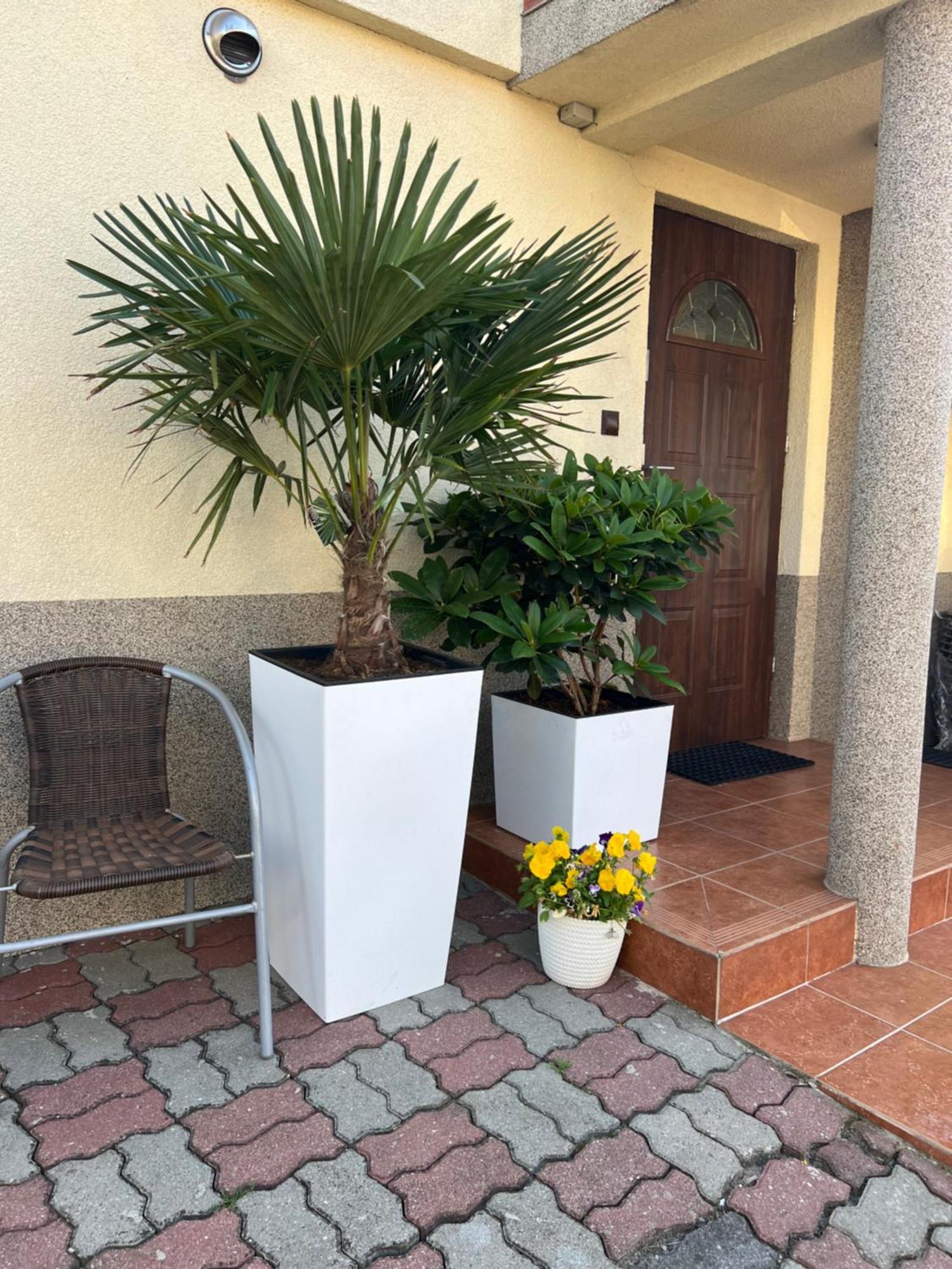 Pokoje U Malgosi Miedzyzdroje Exterior foto